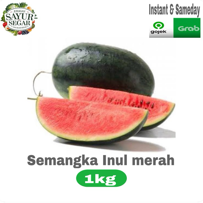 

SEMANGKA inul merah segar 1kg