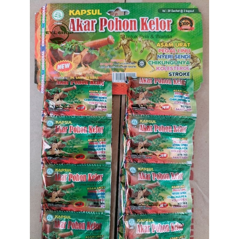 kapsul akar pohon kelor 20 sachet