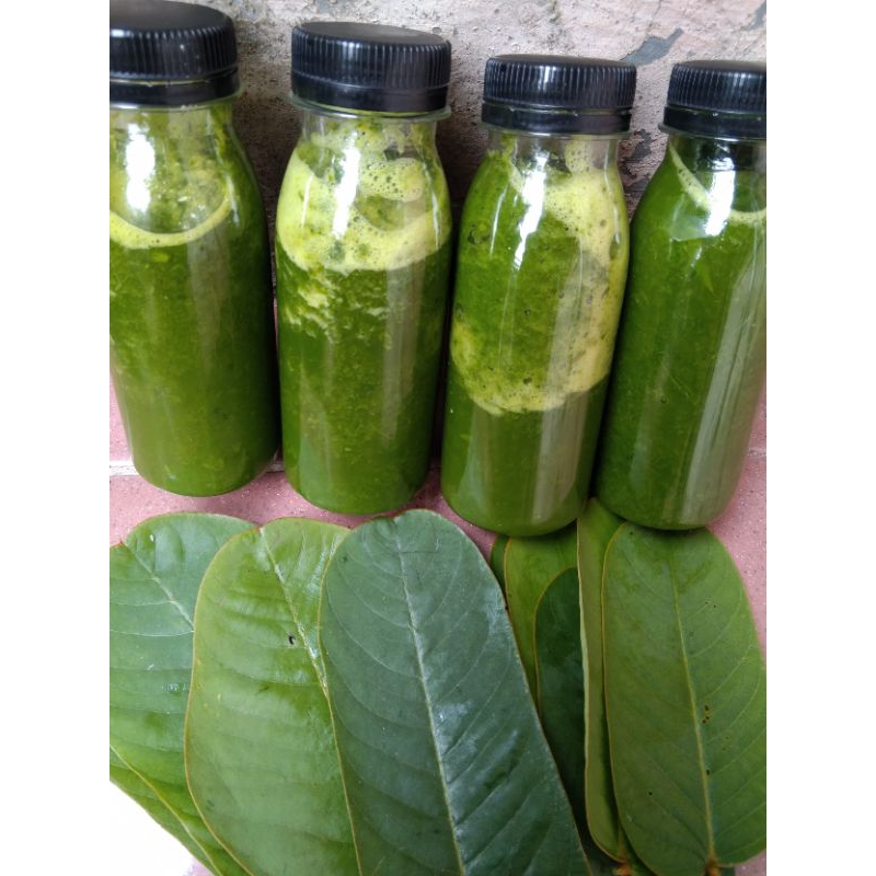 

salep daun ketepeng cina cair 100ml fresh