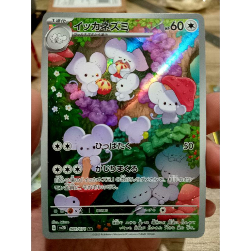 KARTU POKEMON MAUSHOLD AR JAPAN HOLO