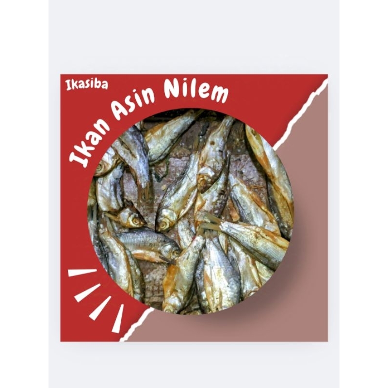 

IKASIBA ANEKA RAGAM IKAN ASIN SERBA 1/2 Kg (500gr) JAMBAL, PEDA, CUCUT, CUMI SOTONG, DLL