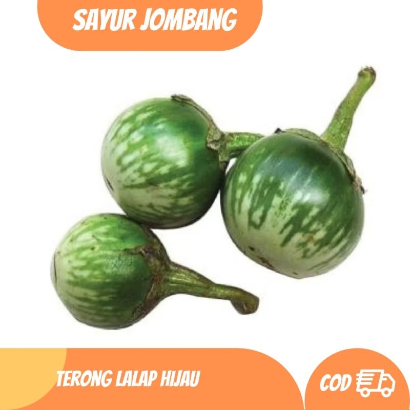 

Terong lalap hijau 500 gram - 1 kg jombang
