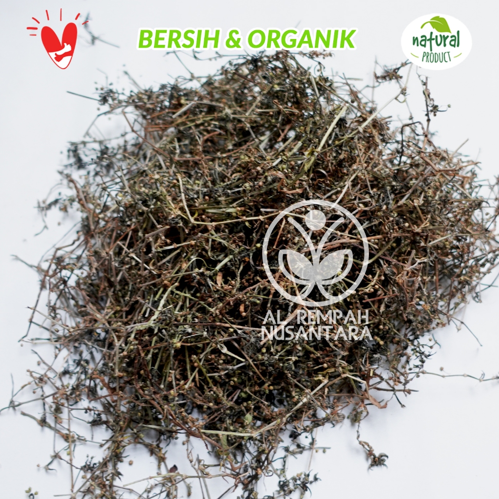 

Rumput Mutiara Kering 100gr Asli dan Bersih