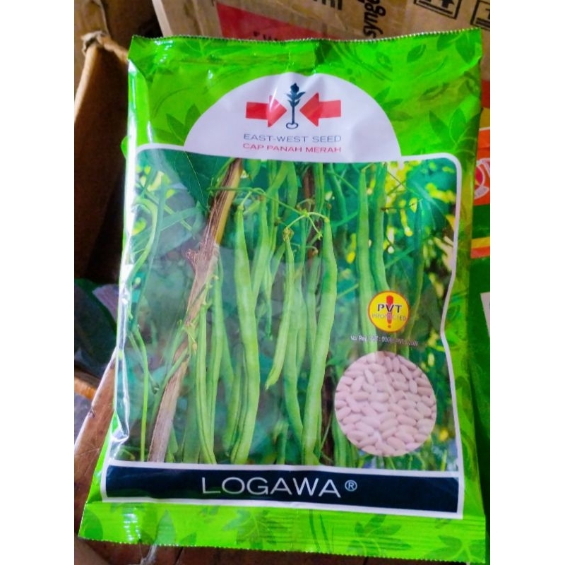 benih buncis logawa