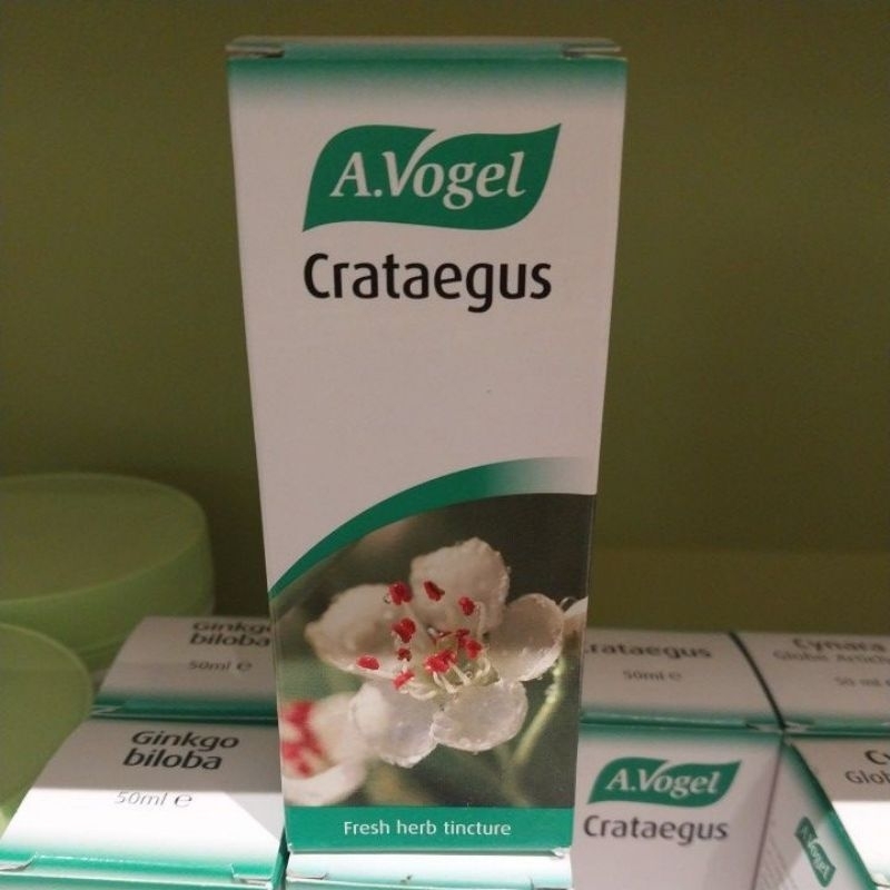 A,vogel crategus