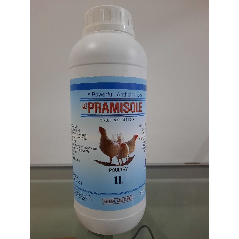 Pramisole obat cacing pita dan cacing gelang ayam layer petelur