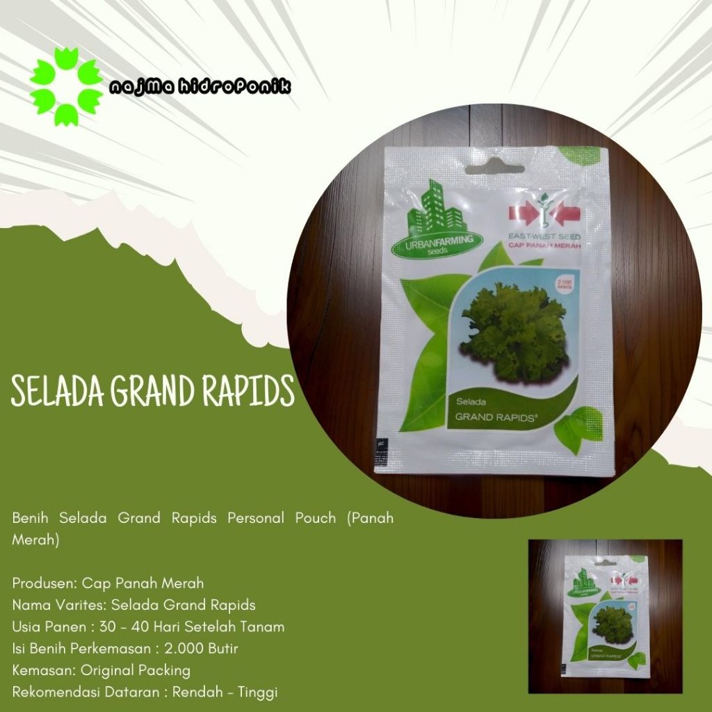 Benih Selada Grand Rapids Pouch (Panah Merah)