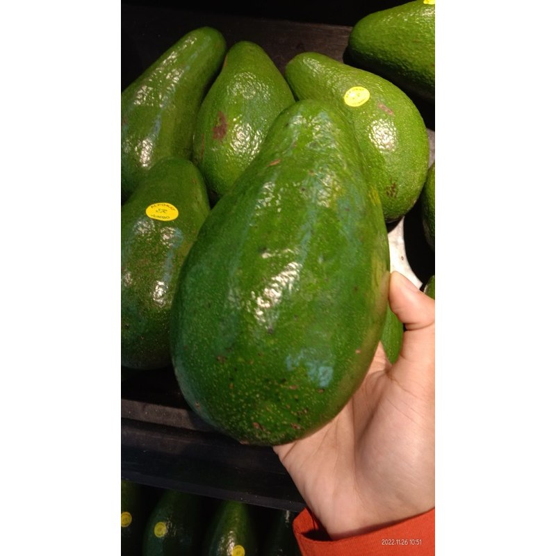 

Alpukat fresh 1kg 3-4biji langsung dari petani