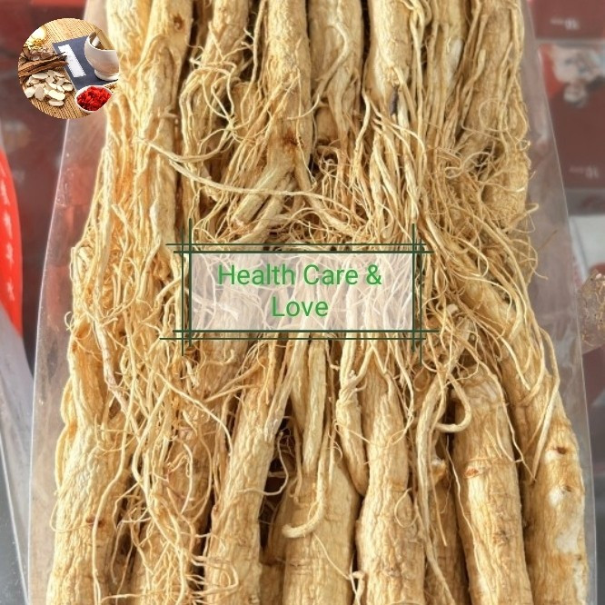 

Ginseng Asli Gunung 长白山人参 Chang Bai Shan Impor Grade per kotak
