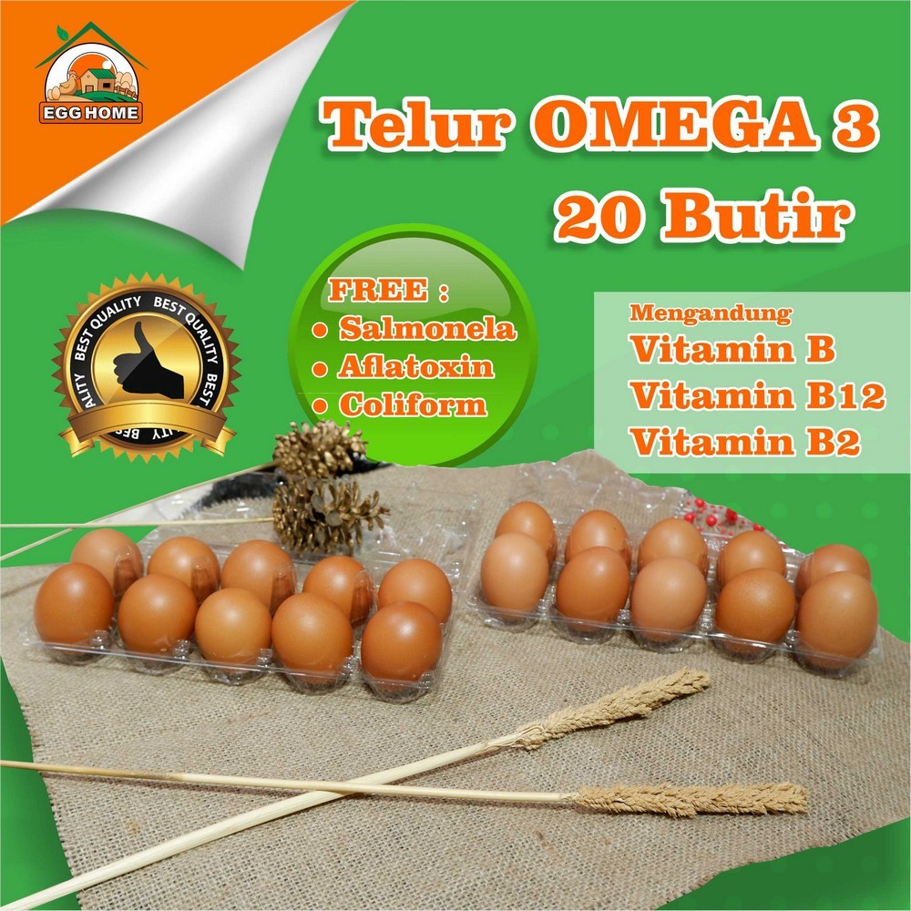 

Telur omega 3, paket Bundling 20 butir Egg Home