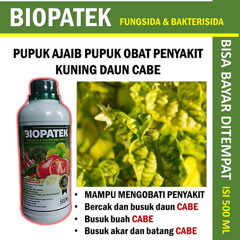 BIOPATEK obat hama keriting daun cabe paling ampuh -  obat hama keriting daun kuning cabe terlaris -