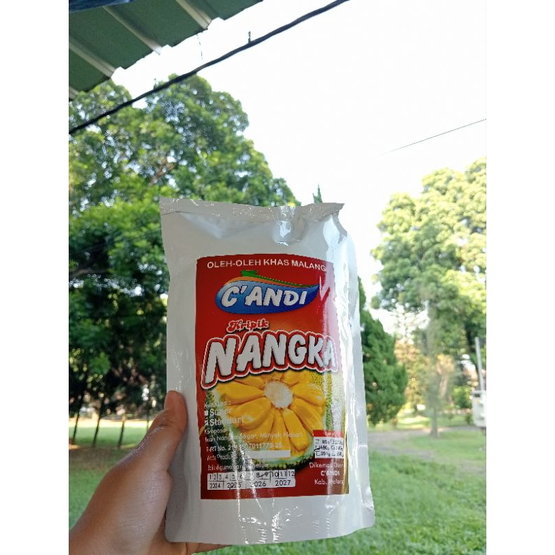 

KERIPIK NANGKA STANDART KHAS MALANG