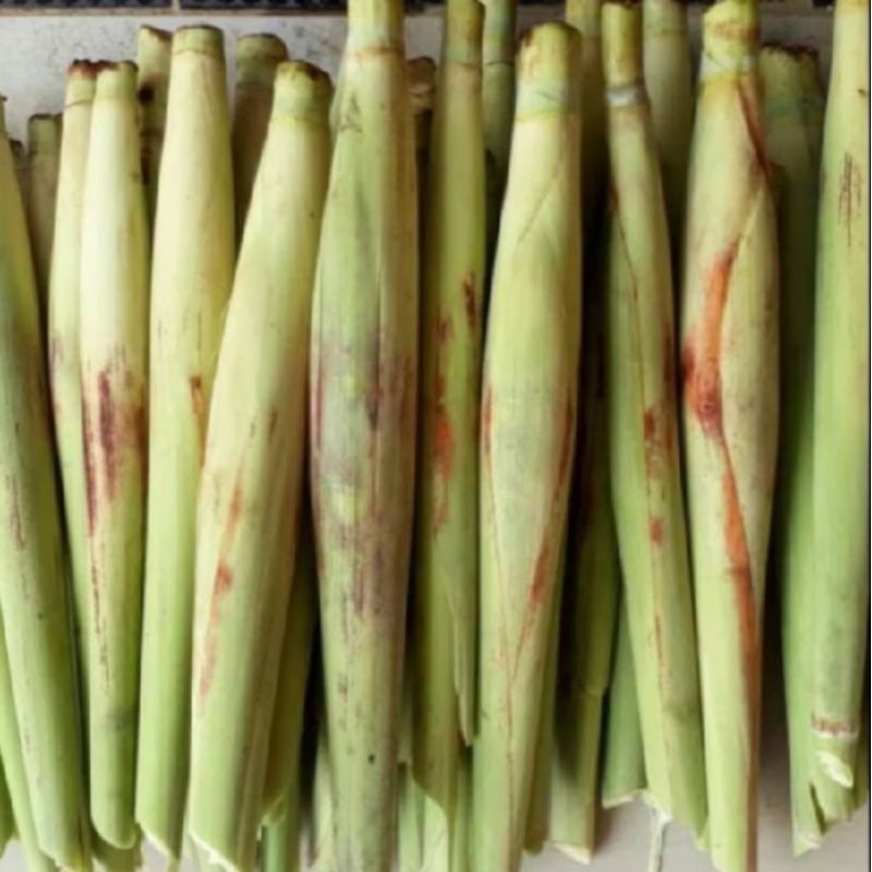 

terubuk sayur /terubuk telur segar fres di jual untuk 1kg