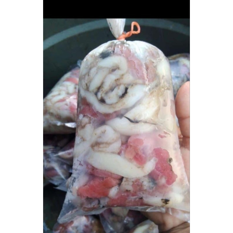 

Telur Cumi 500 gr