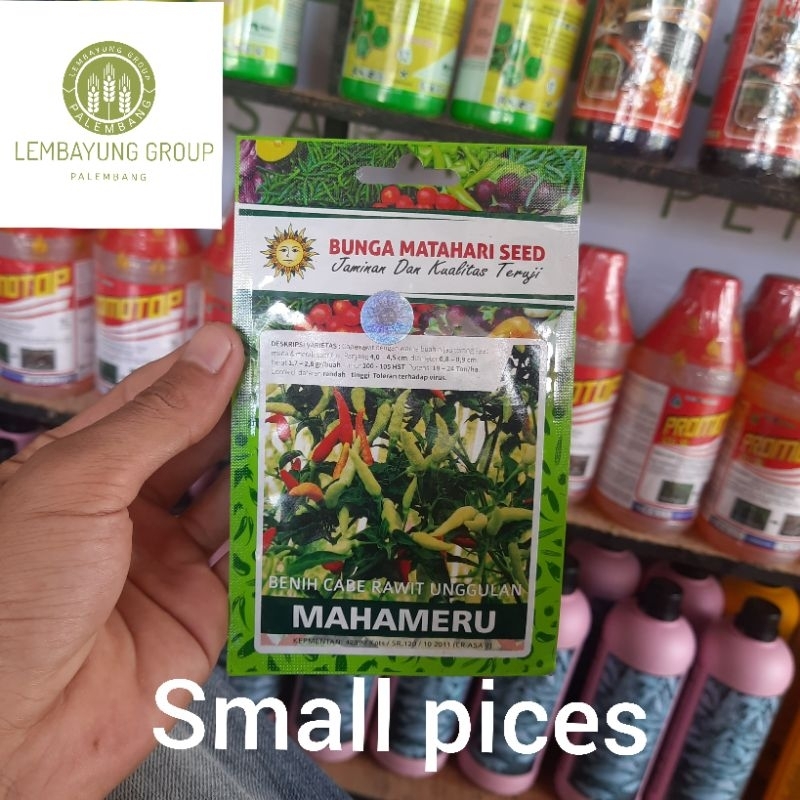 BENIH CABE RAWIT MAHAMERU KEMASAN SMALL PIECES ORI PT BUNGA MATAHARI SEED