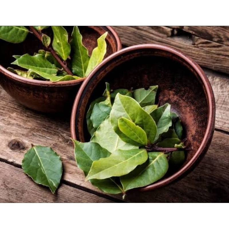 

ILMU PELET|PELET DAUN|PELET XTRIM