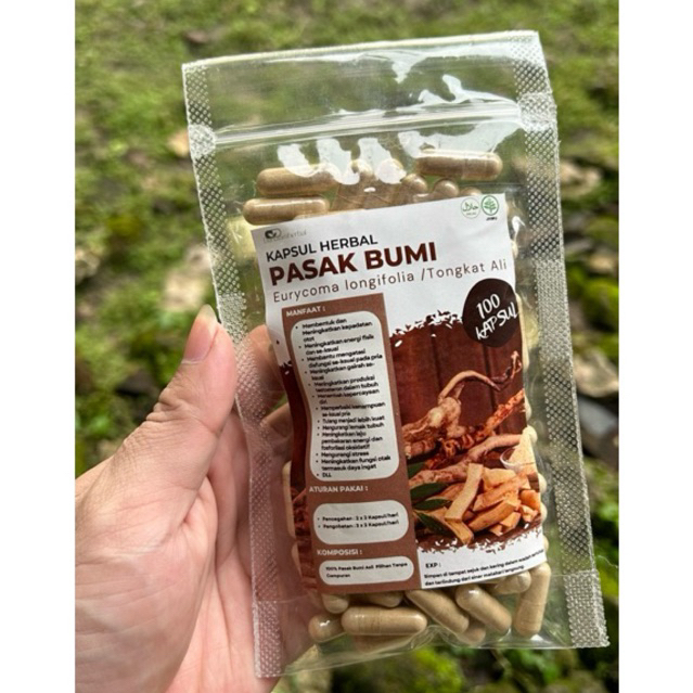 Kapsul Herbal PASAK BUMI isi 100 kapsul | Kapsul Sejuta manfaat asli 100% Pasak Bumi Alami