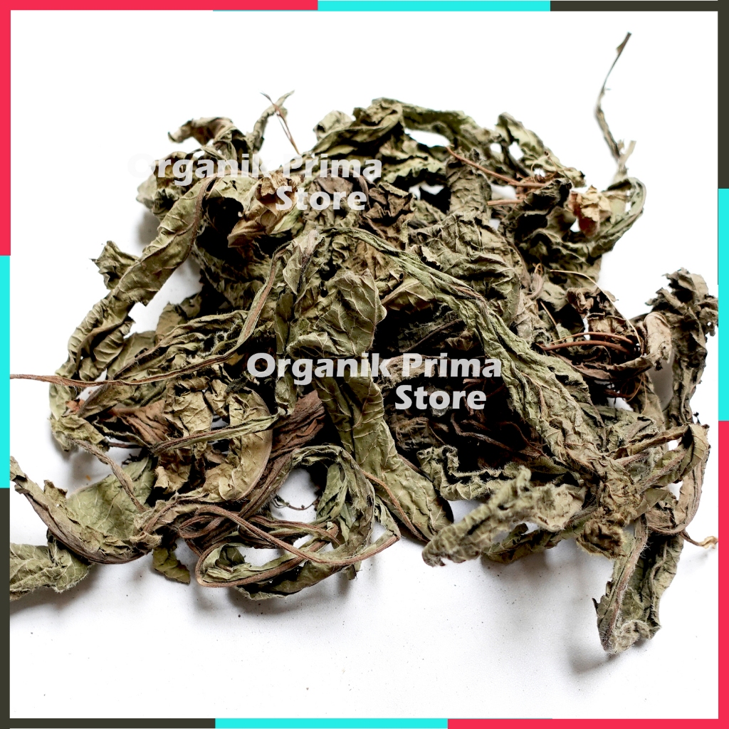 

Daun Tapak Liman Kering 1kg - Organik Grade A