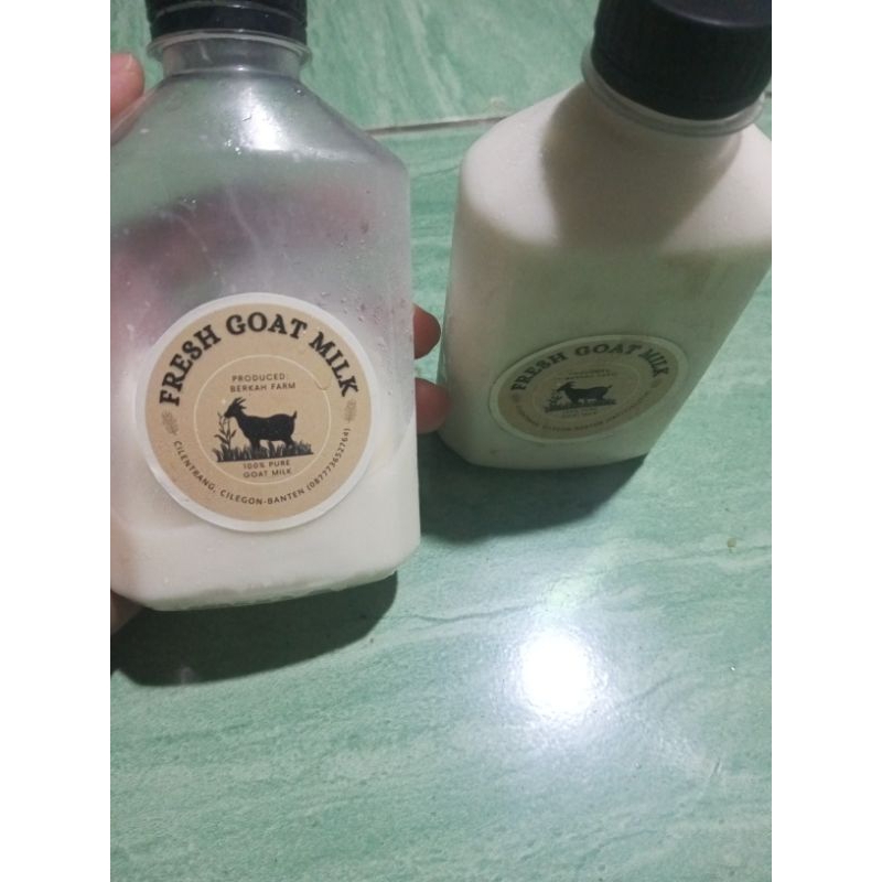 

susu kambing murni