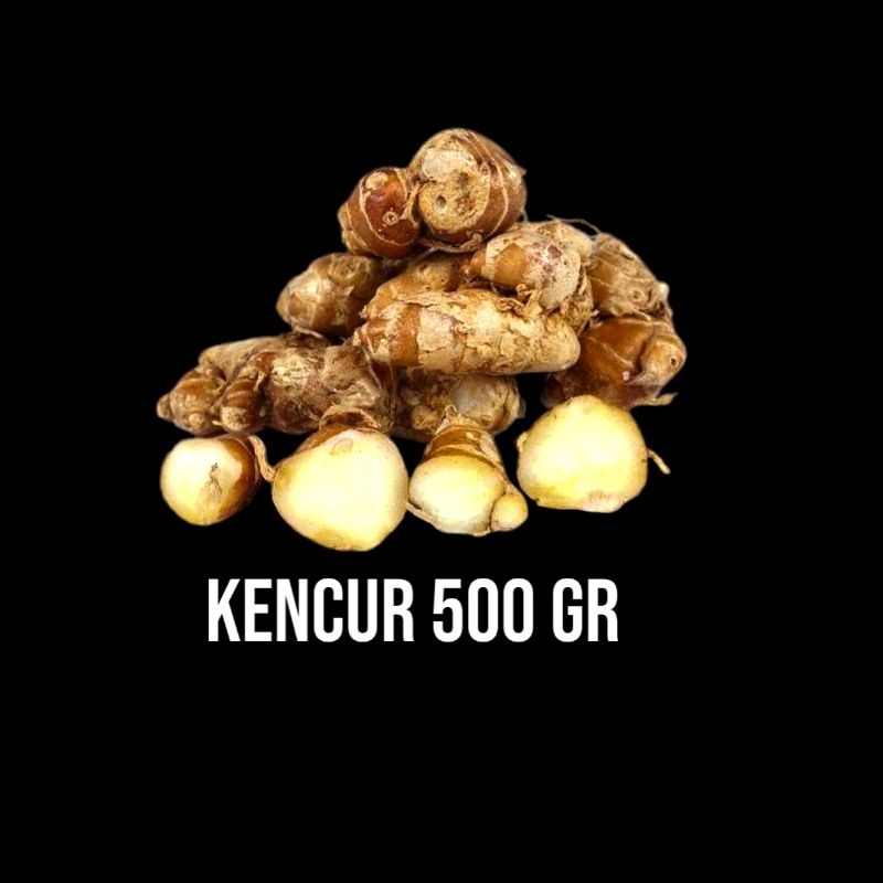 

KENCUR TUA FRESH [500 GRAM] KENCUR FRESS