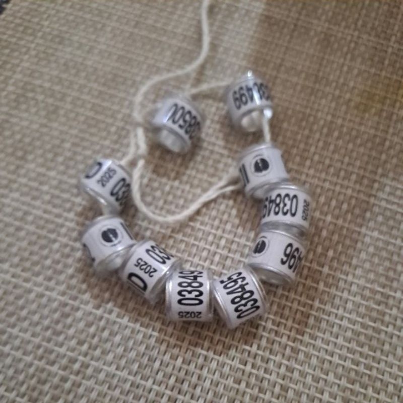 Ring ID POMSI Merpati POS 2025 Resmi