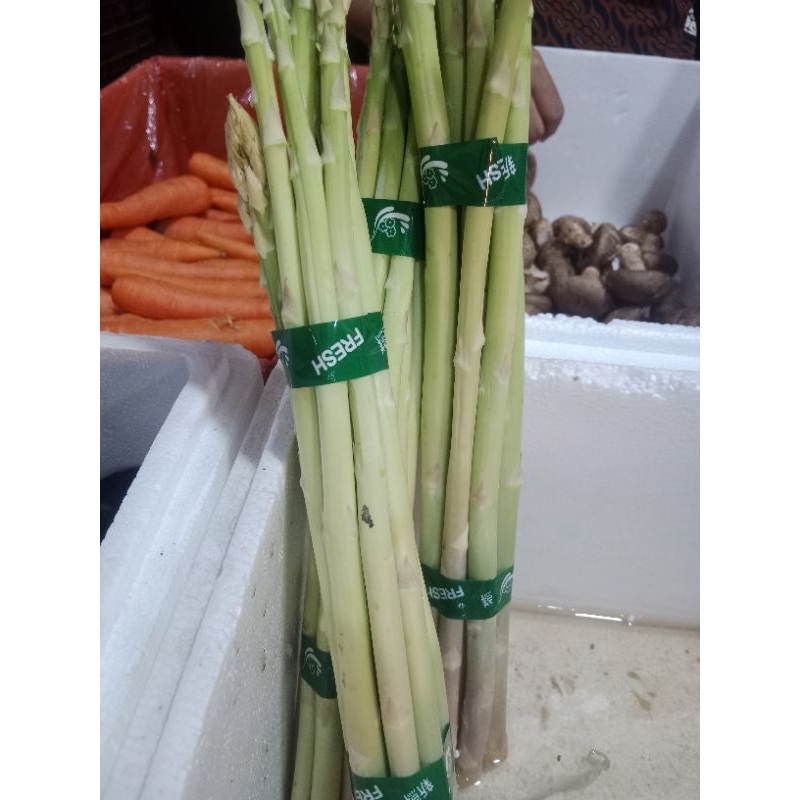 

Sayur asparagus segar