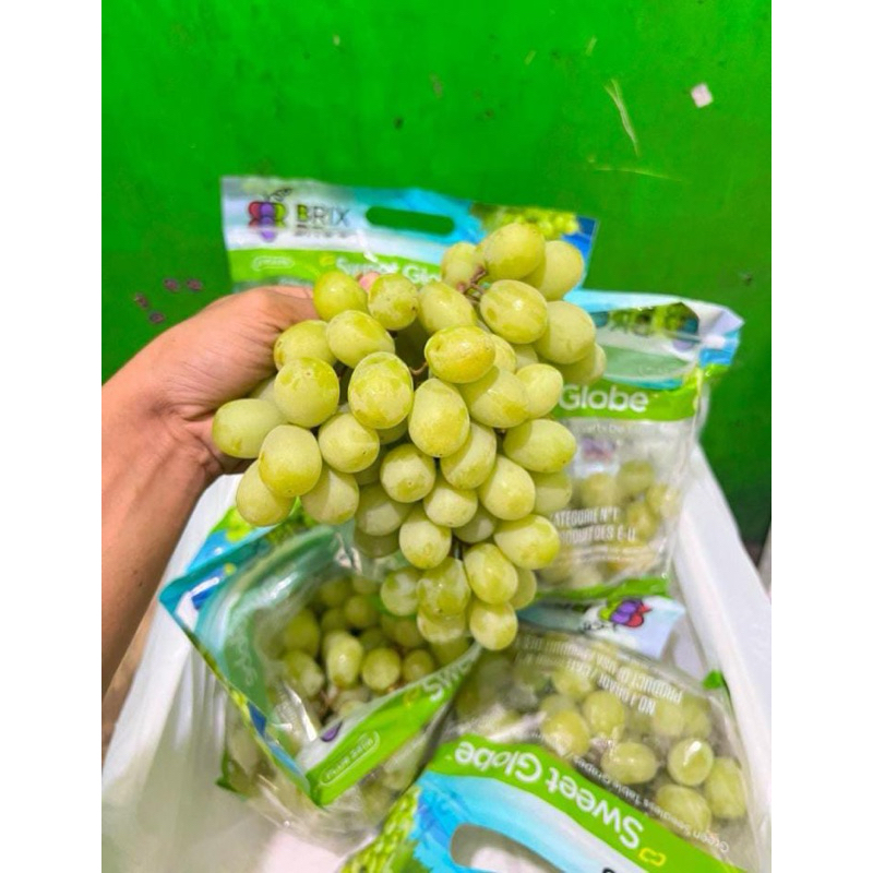 

anggur ijo sweet globe usa 900gr