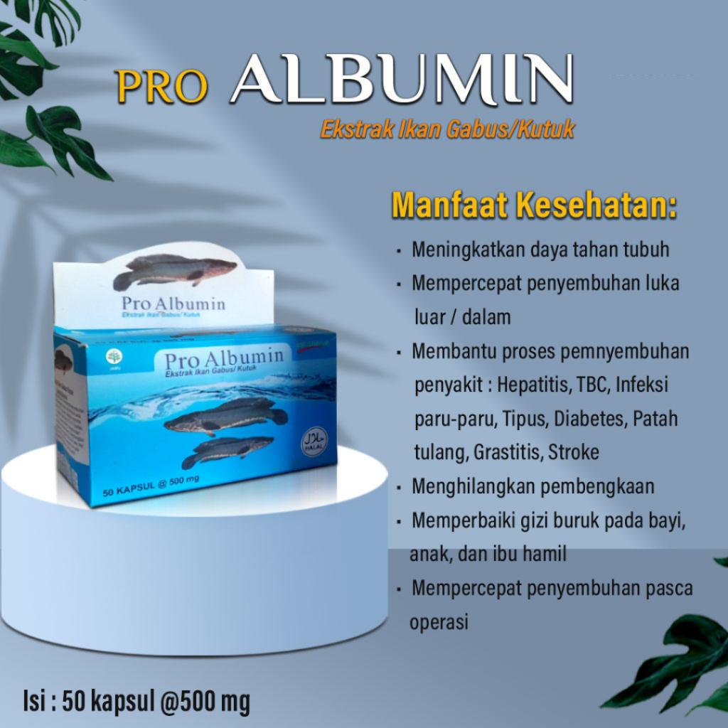 Pro Albumin Ash-Shihhah Kapsul Ekstrak Ikan Gabus / SAH Ekstrak Albumin Ikan Gabus 60 Kapsul / Azzay