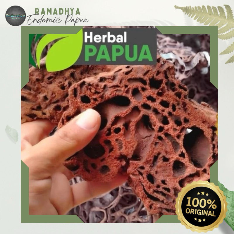 

Sarang Semut Asli Papua Original 100% SARANG SEMUT MERAH PREMIUM 100% ORI