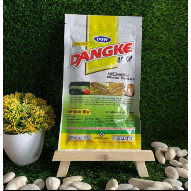 Dangke 100gram