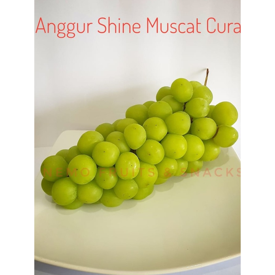

Anggur Shine Muscat Fresh Segar 1 Kg