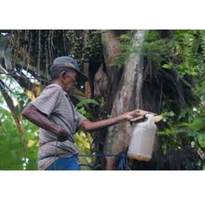 

Air nira asli fresh 1 liter