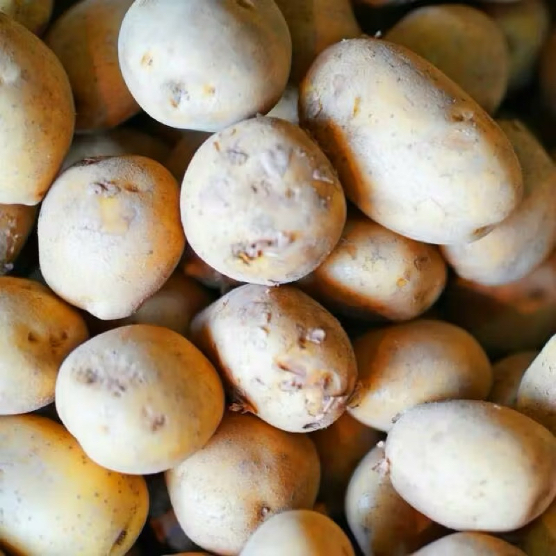 

KENTANG 500gr