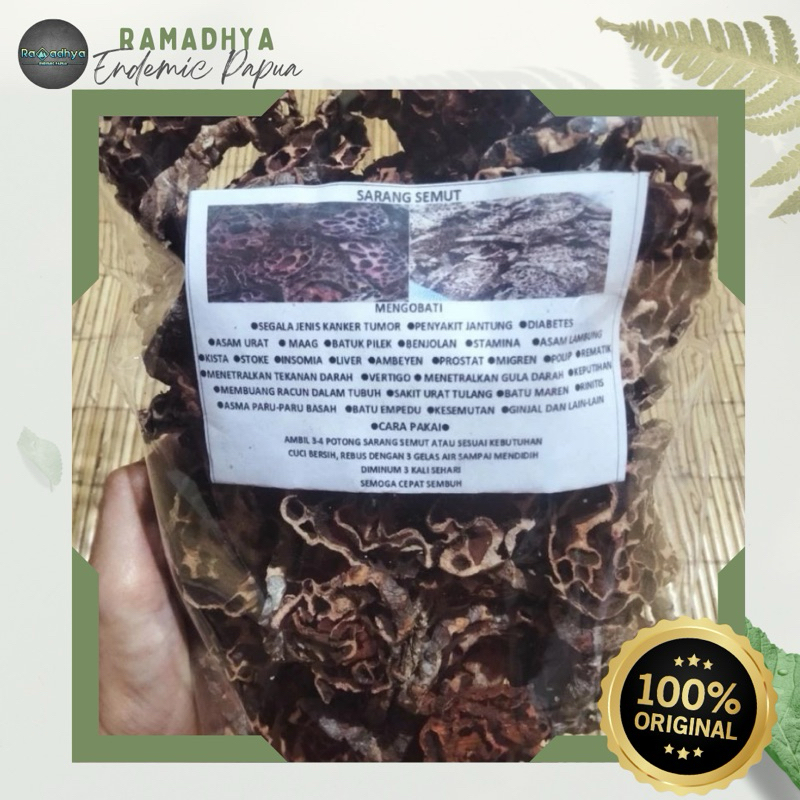 

Sarang Semut Asli Papua Original 100% SARANG SEMUT/MENGOBATI SEMUA JENIS PENYAKIT/OBAT HERBAL/OBAT TRADISIONAL PATEN ALAMI