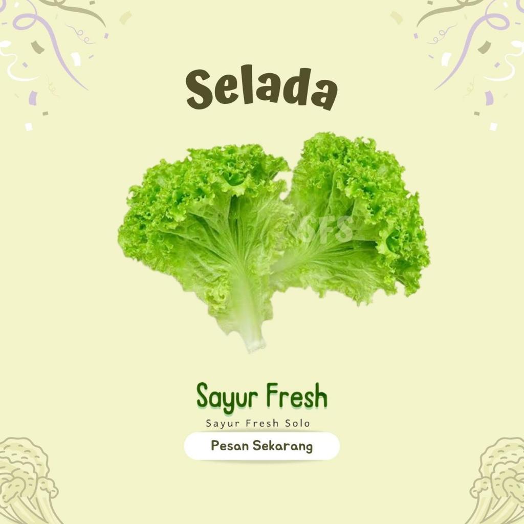 

Selada Hijau Segar (Ready Pagi Jam 5-9) - Sayur Fresh Solo