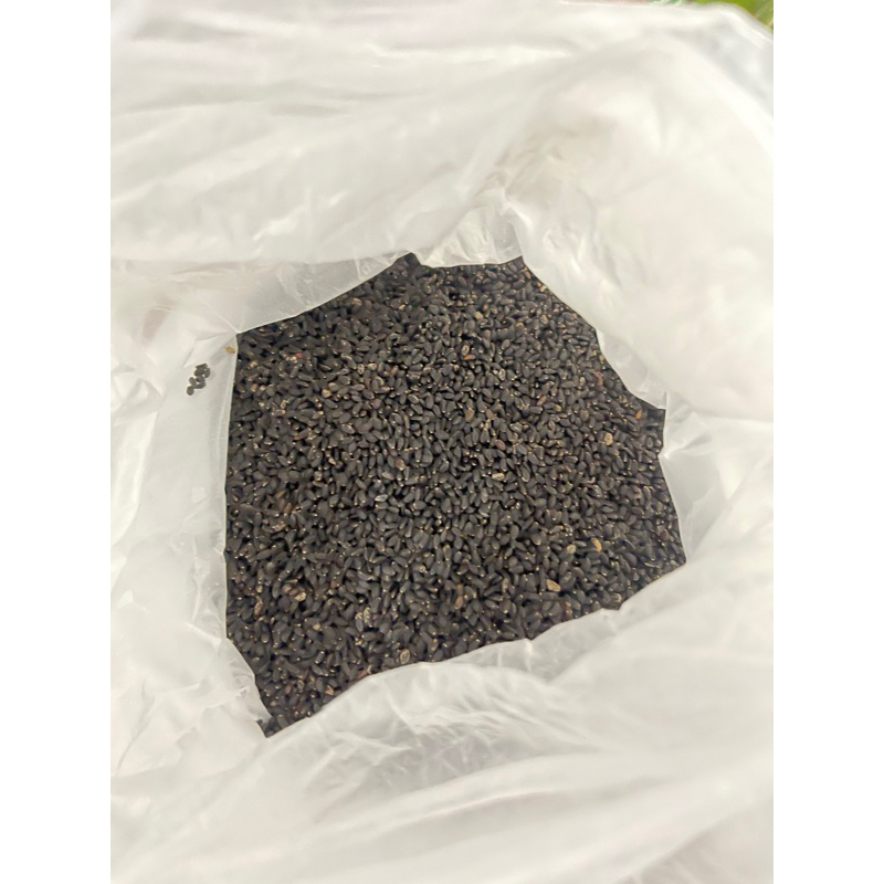 

biji selasi 500gr