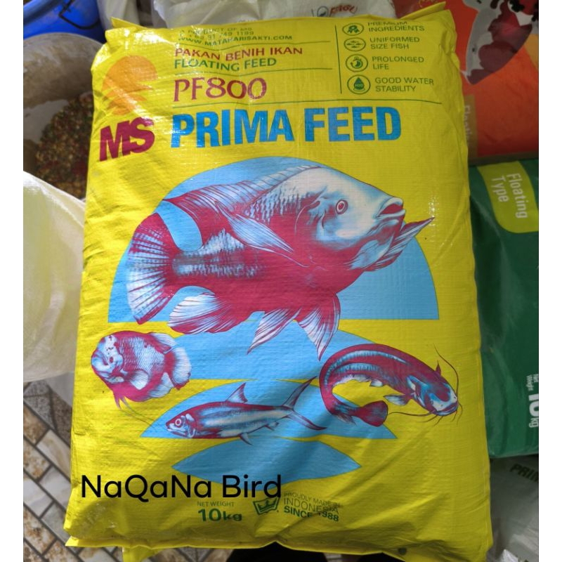 pelet benih ikan apung karungan pf800 prima feed ms pakan benih