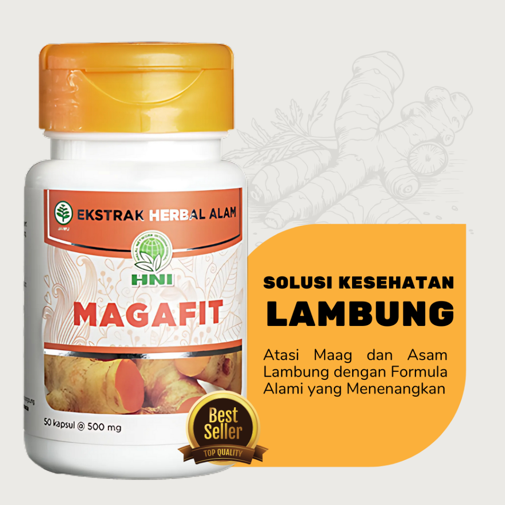 

MAGAFIT HNI VITAMIN UNTUK LAMBUNG SEHAT