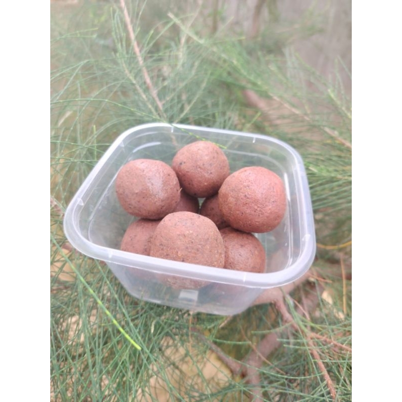 

TERASI UDANG PREMIUM 150gr & 300gr/Asli Madura