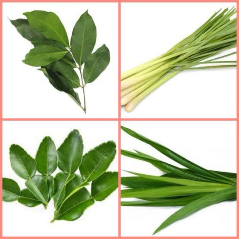 

DAUN JERUK - SALAM - PANDAN - SEREH