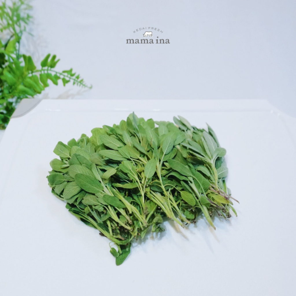 

Daun Sage 50g