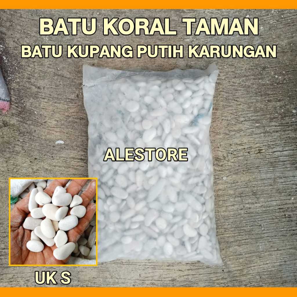 Batu Koral Kupang putih sedang UK S  2-3cm Batu Taman dan aquarium