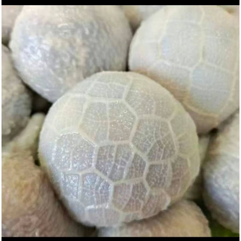 

Bola babat isi daging kambing 1 kg
