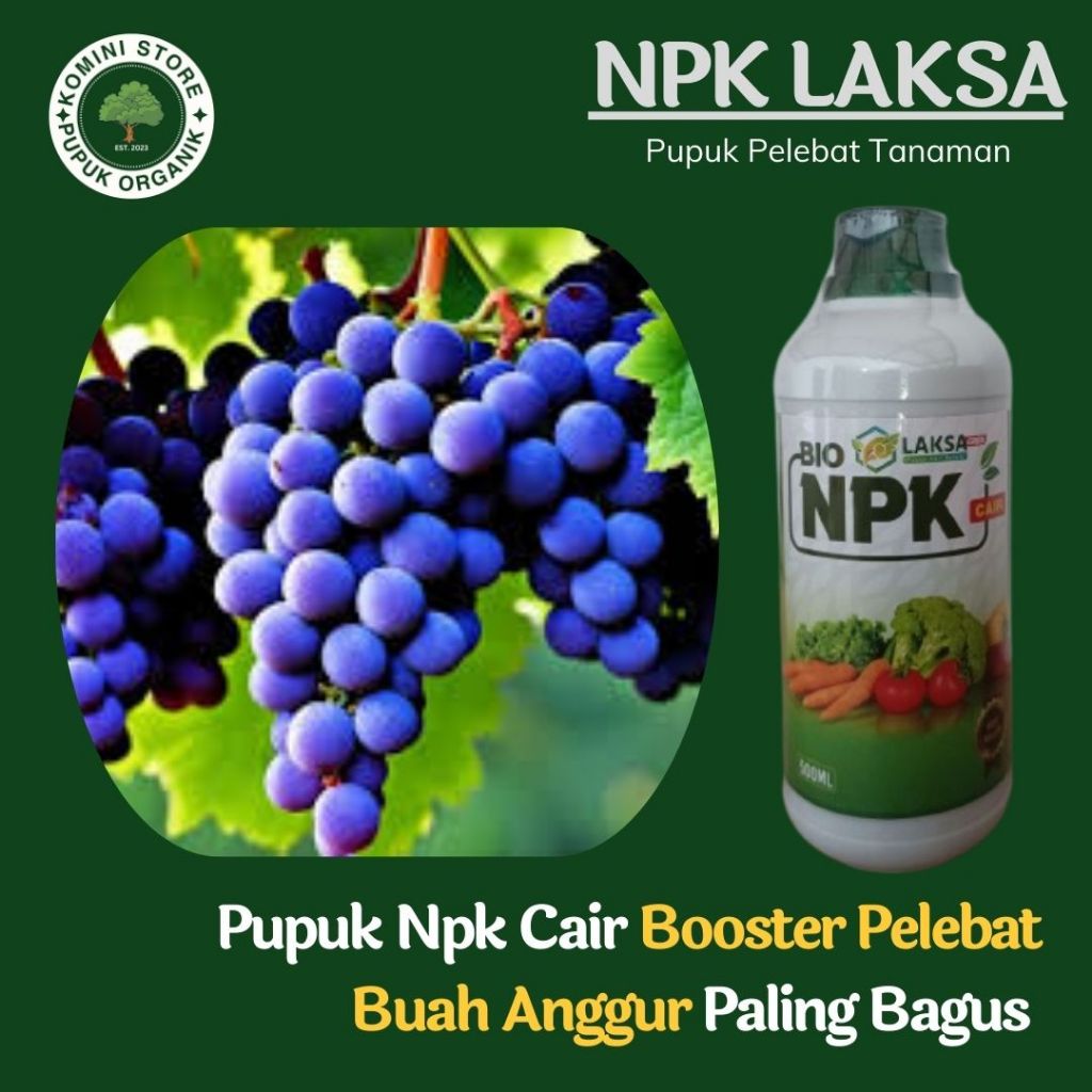 Pupuk Anggur ungu berbuah besar dan lebat - NPK LAKSA 500ML - Obat booster buah anggur terbaik