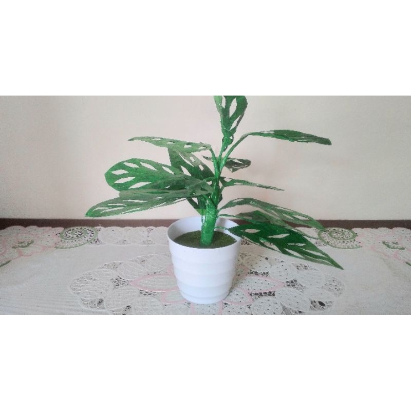 Tanaman Plastik JANDA BOLONG artifical buatan tangan