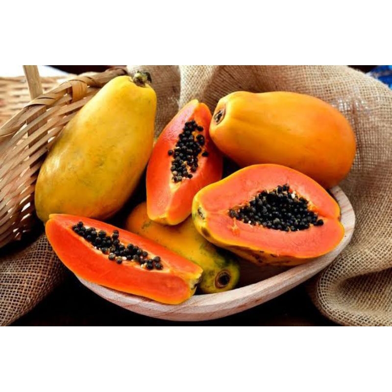 

Buah Pepaya California Fresh Petik Dari Pohon Super Jumbo dan Manis