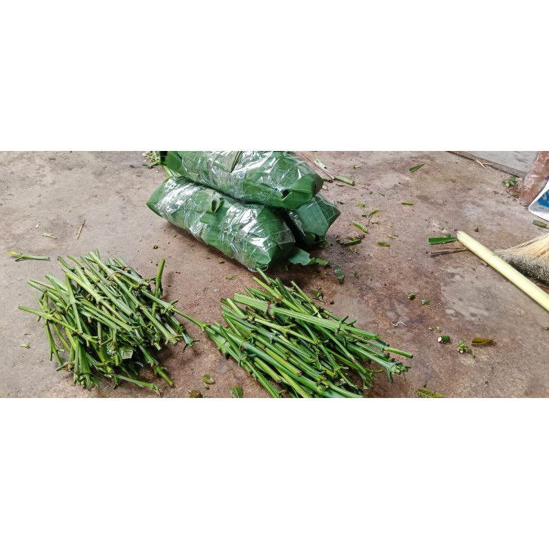 Entres kopi robusta Lampung Bagio 1 kg #entres raja #Bagio #Koffe #Robusta