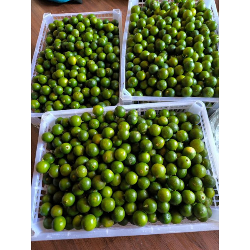 

Jeruk Kasturi/Sonkit/Cui