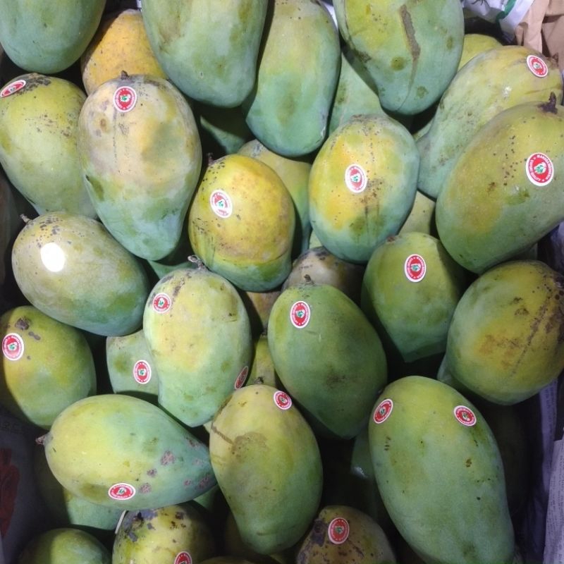 

mangga harum manis 1kg