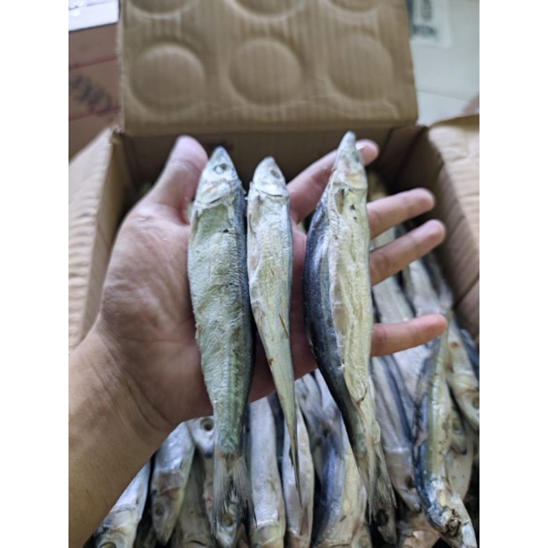 

IKAN ASIN JAPU SERO 1000gr